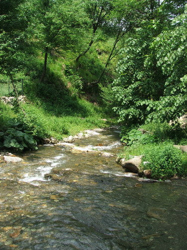 Ribarska banja 3